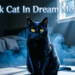 Black Cat In Dream Meaning