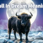 Bull In Dream Meaning