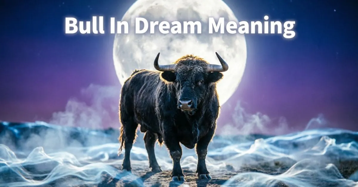 Bull In Dream Meaning