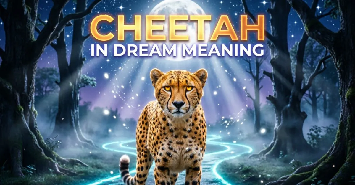 Cheetah In Dream Meaning