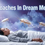Cockroaches In Dream Meaning