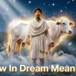 Cow In Dream Meaning