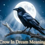 Crow In Dream Meaning