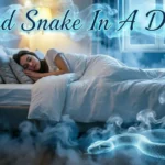 A Dead Snake In Dream Meaning