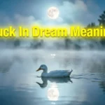 Duck In Dream Meaning