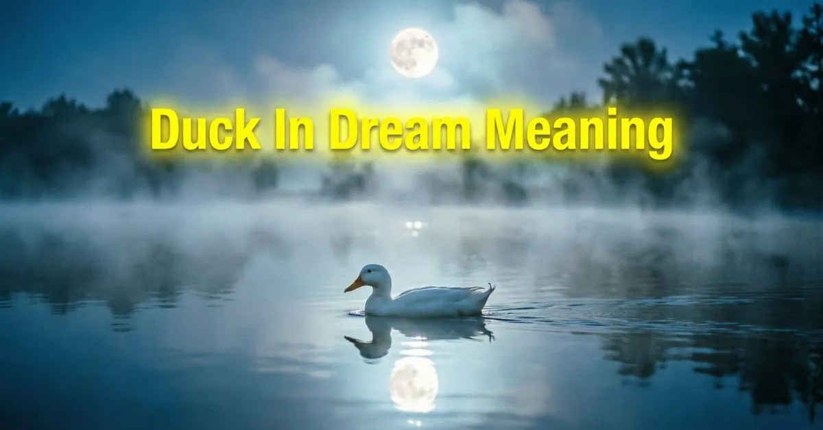 Duck In Dream Meaning