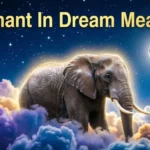 Elephant In Dream Meaning
