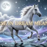 Horse In Dream Meaning: