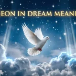 Pigeon In Dream Meaning