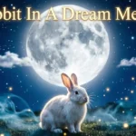 A Rabbit In A Dream Meaning