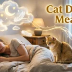 Cat Dream Meaning