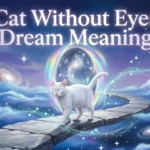 Cat Without Eyes Dream Meaning