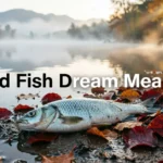 Dead Fish Dream Meaning
