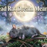 Dead Rat Dream Meaning