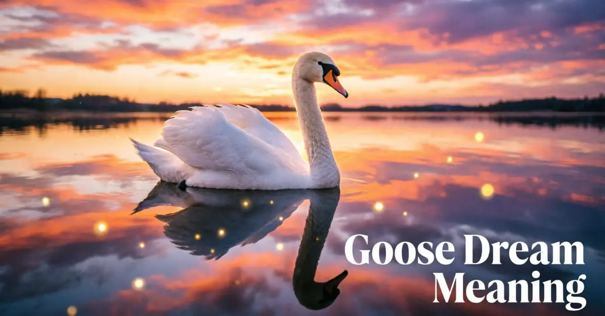 Goose Dream Meaning