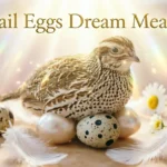 Quail Eggs Dream Meaning