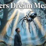 Spiders Dream Meaning