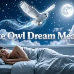 White Owl Dream Meaning