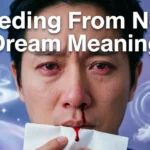 Bleeding From Nose Dream Meaning